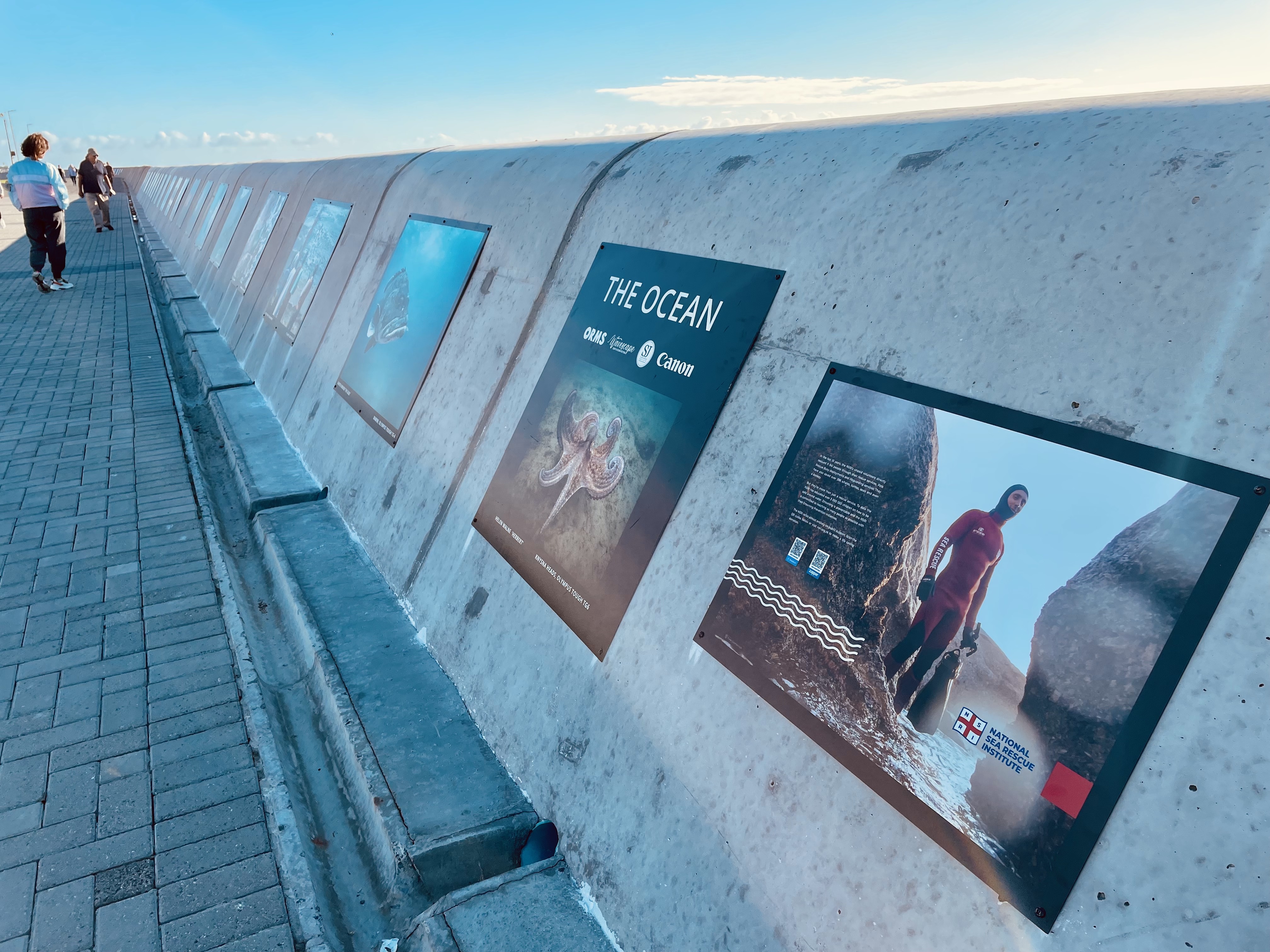 Ocean Festival Leaves Public Art Legacy in Cape Town!