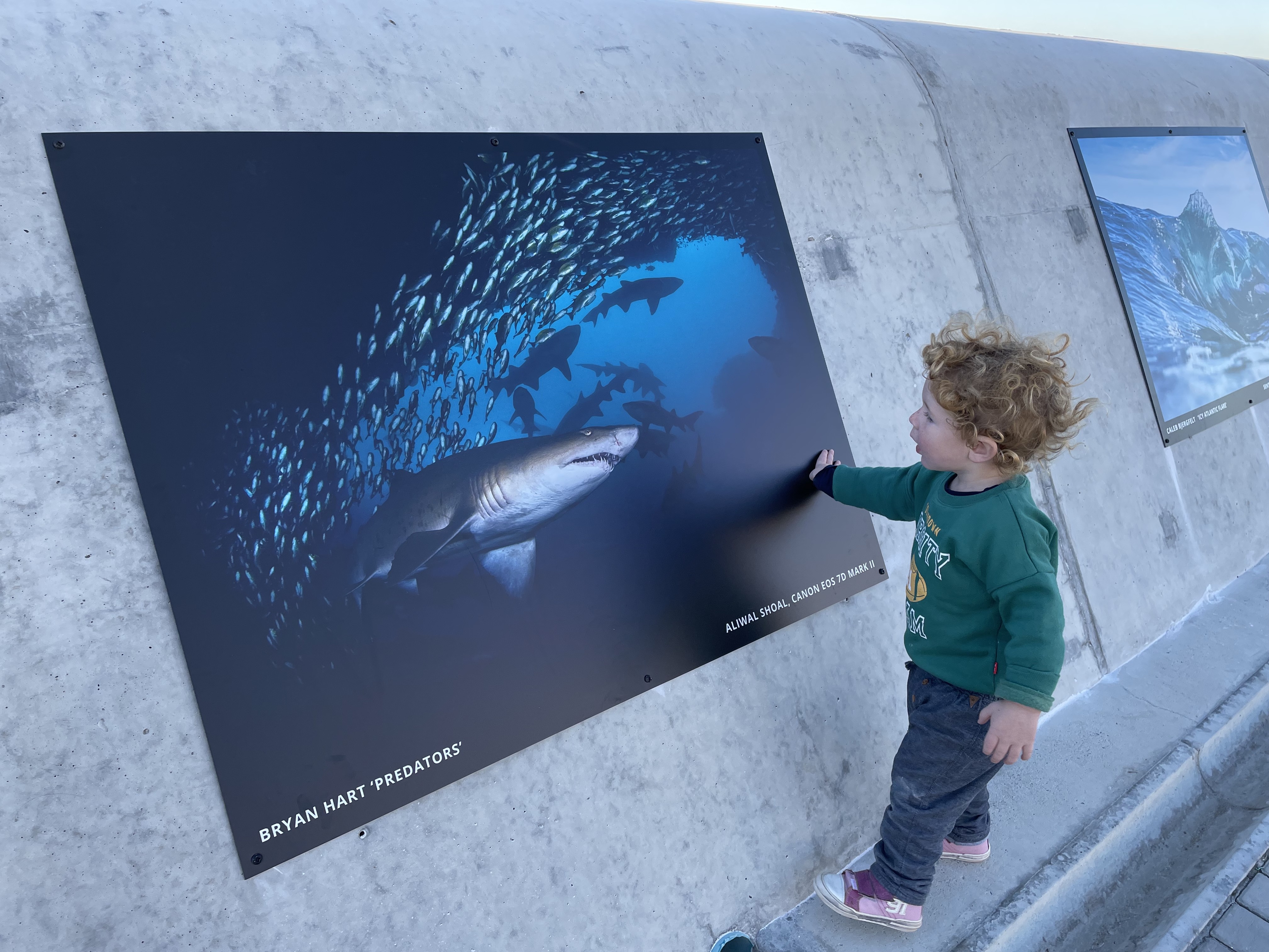 Ocean Festival Leaves Public Art Legacy in Cape Town!