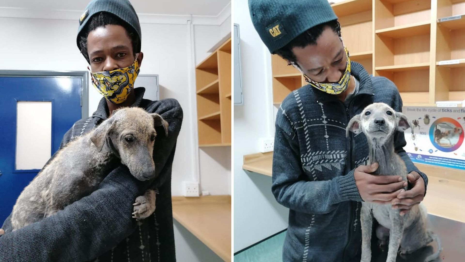 Zola Dog
