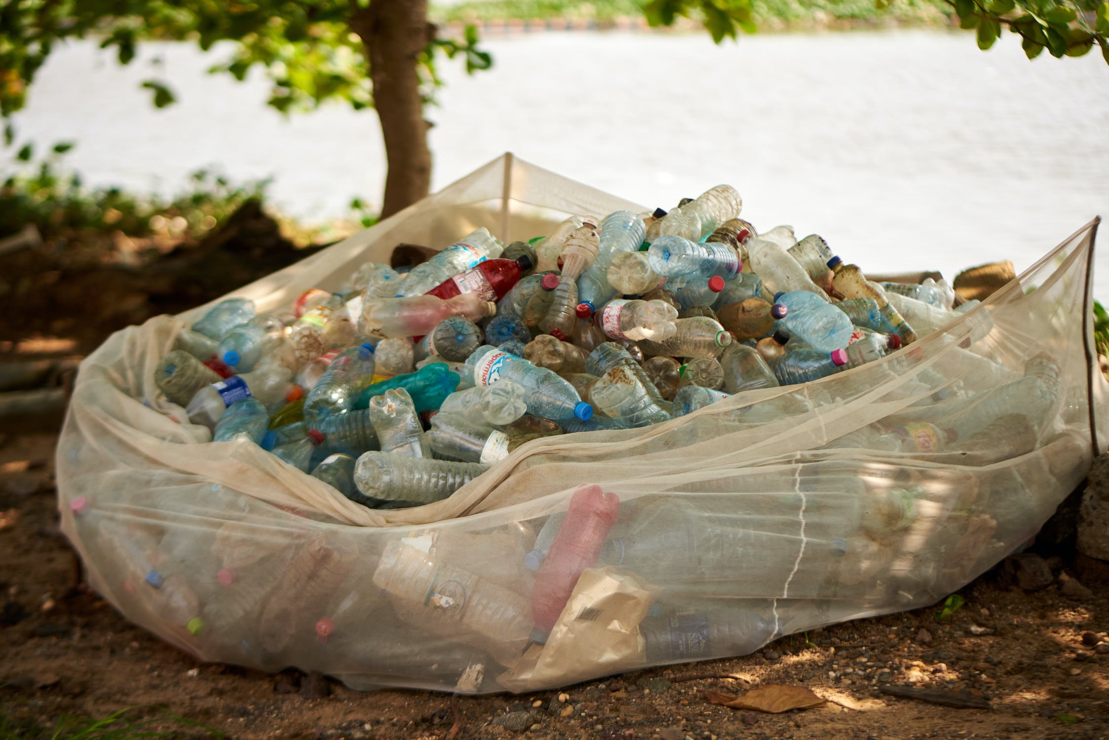 Community Initiative to Clean Up "Jurassic Park" in The Cape Seeks to Build Peace And Hope
