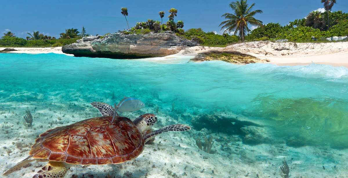 5 Reasons Why: Seychelles Club Med is a GREAT Holiday Destination!