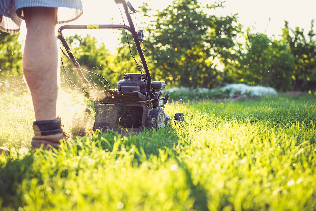 Mow