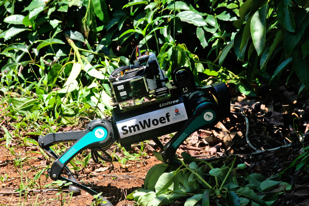 Meet smWoef, The University of Pretoria’s New Robotic Dog!