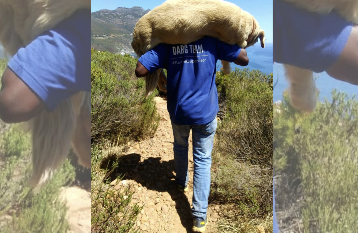 South African Hailed A Hero After Saving A Pup Stuck On Mountain!