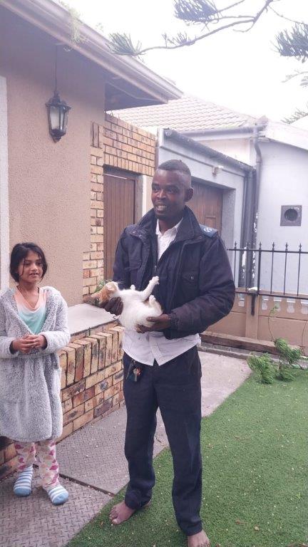 Good Samaritan Rescues Distressed Kitten from Perilous Heights... Barefoot!