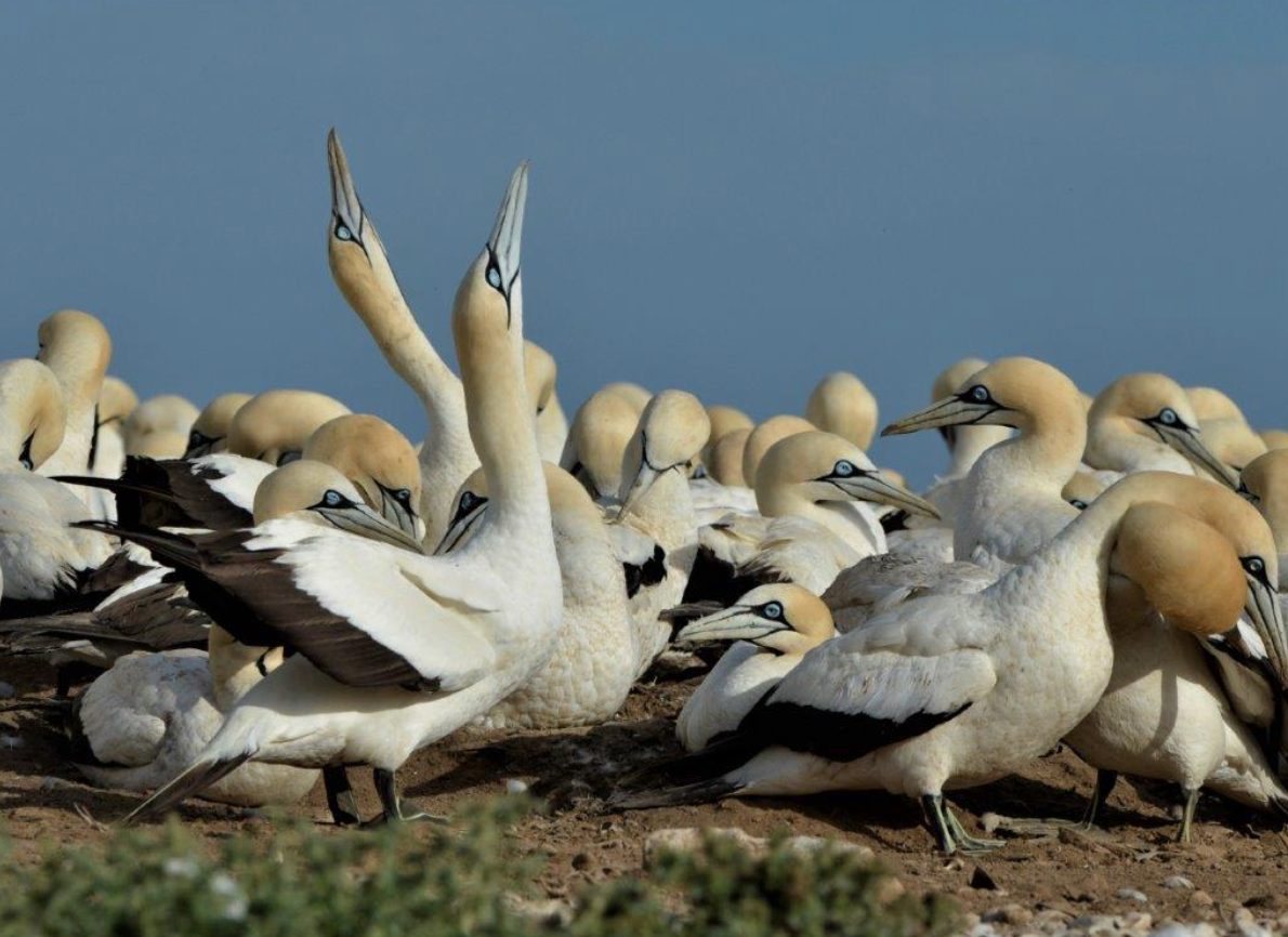 Marine Protected