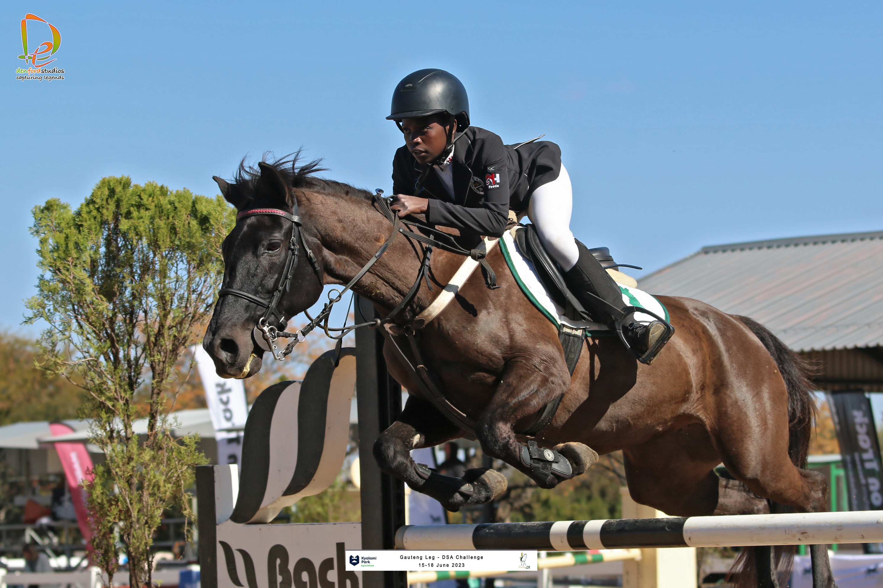 Showjumping