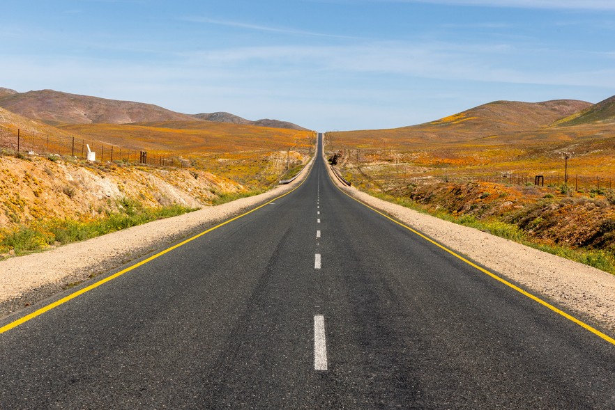 Namaqualand A Wildflower Search