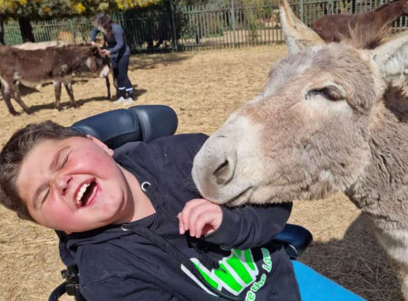Donkey Therapy
