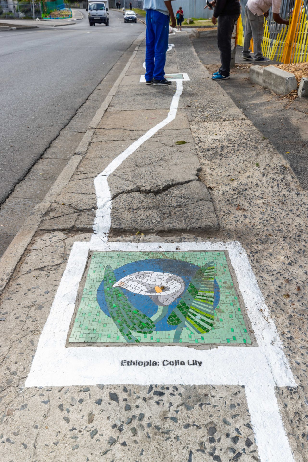 Final Mosaic Masterpiece Unveiled in Bellville's De Lange Street!