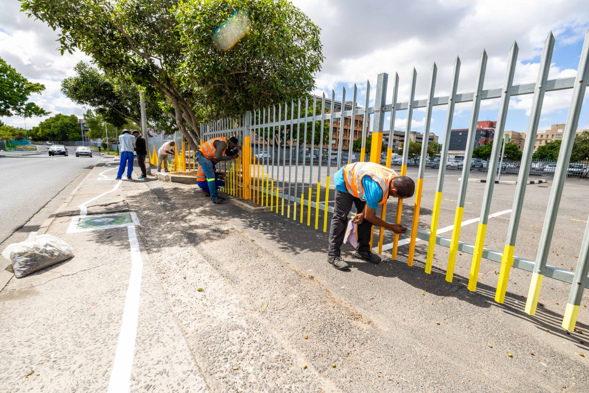 Final Mosaic Masterpiece Unveiled in Bellville's De Lange Street!