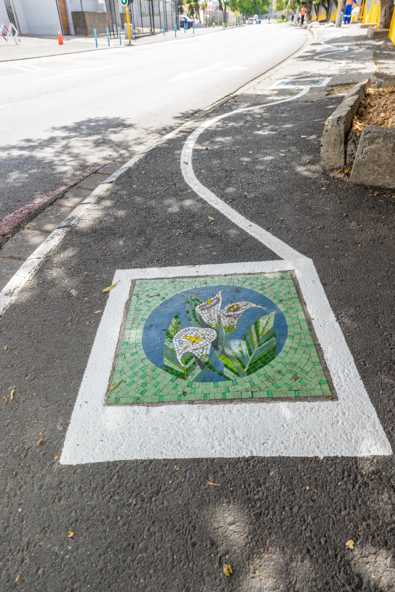 Final Mosaic Masterpiece Unveiled in Bellville's De Lange Street!