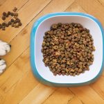 SPCA Helps Family Christmas buckets