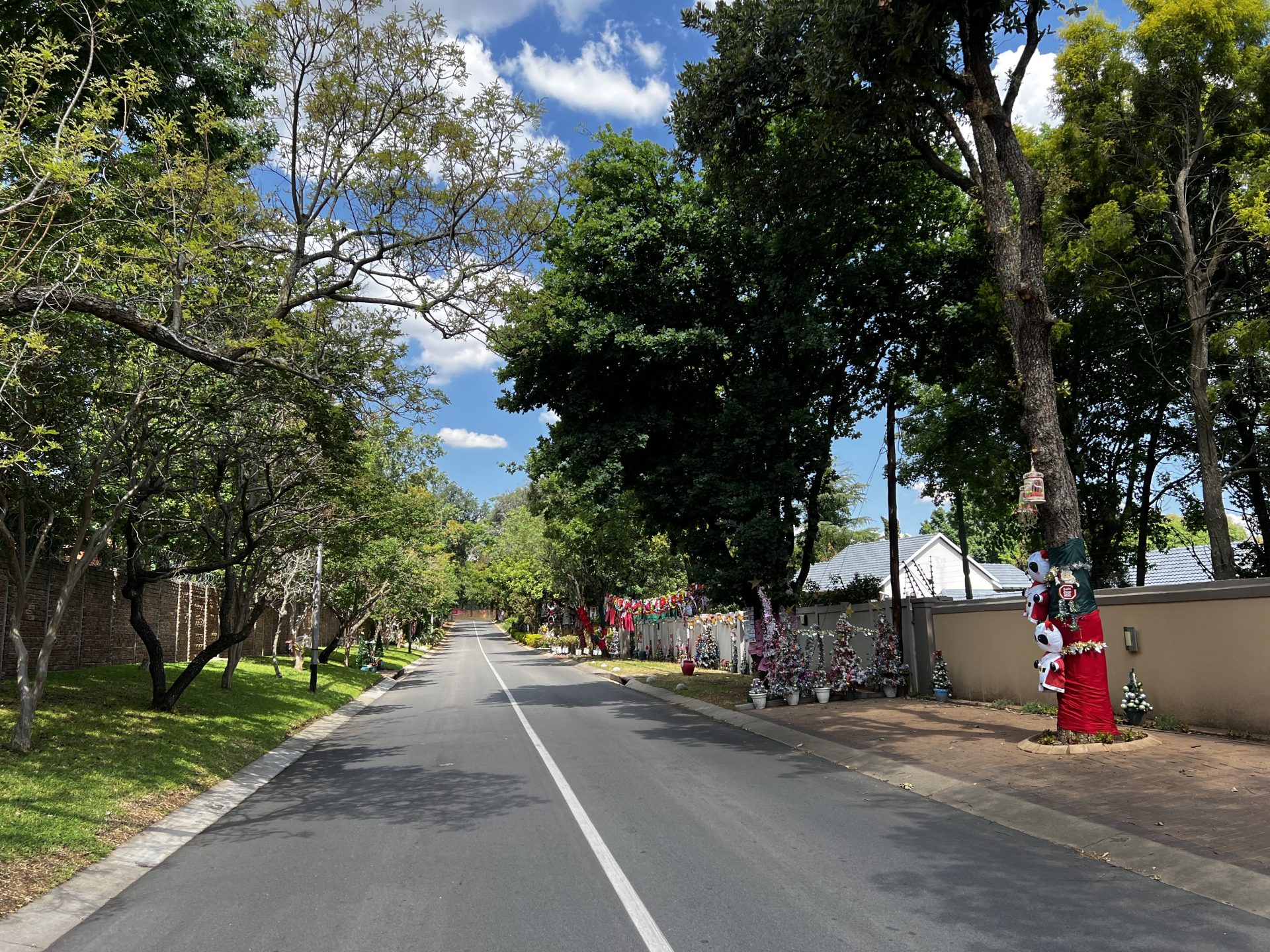 Bringing Joy to Joburg: The Heartwarming Tale of Mrs Claus!