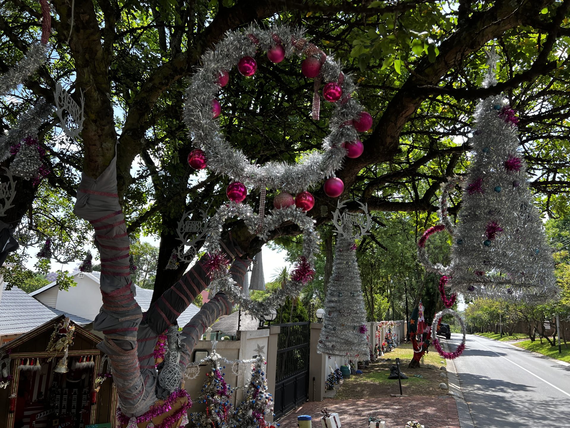 Bringing Joy to Joburg: The Heartwarming Tale of Mrs Claus!
