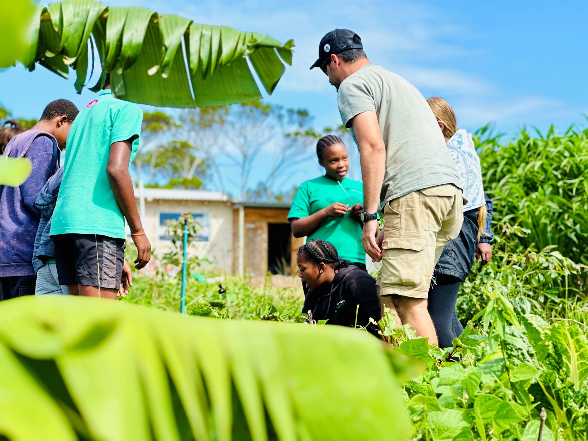 Food Garden