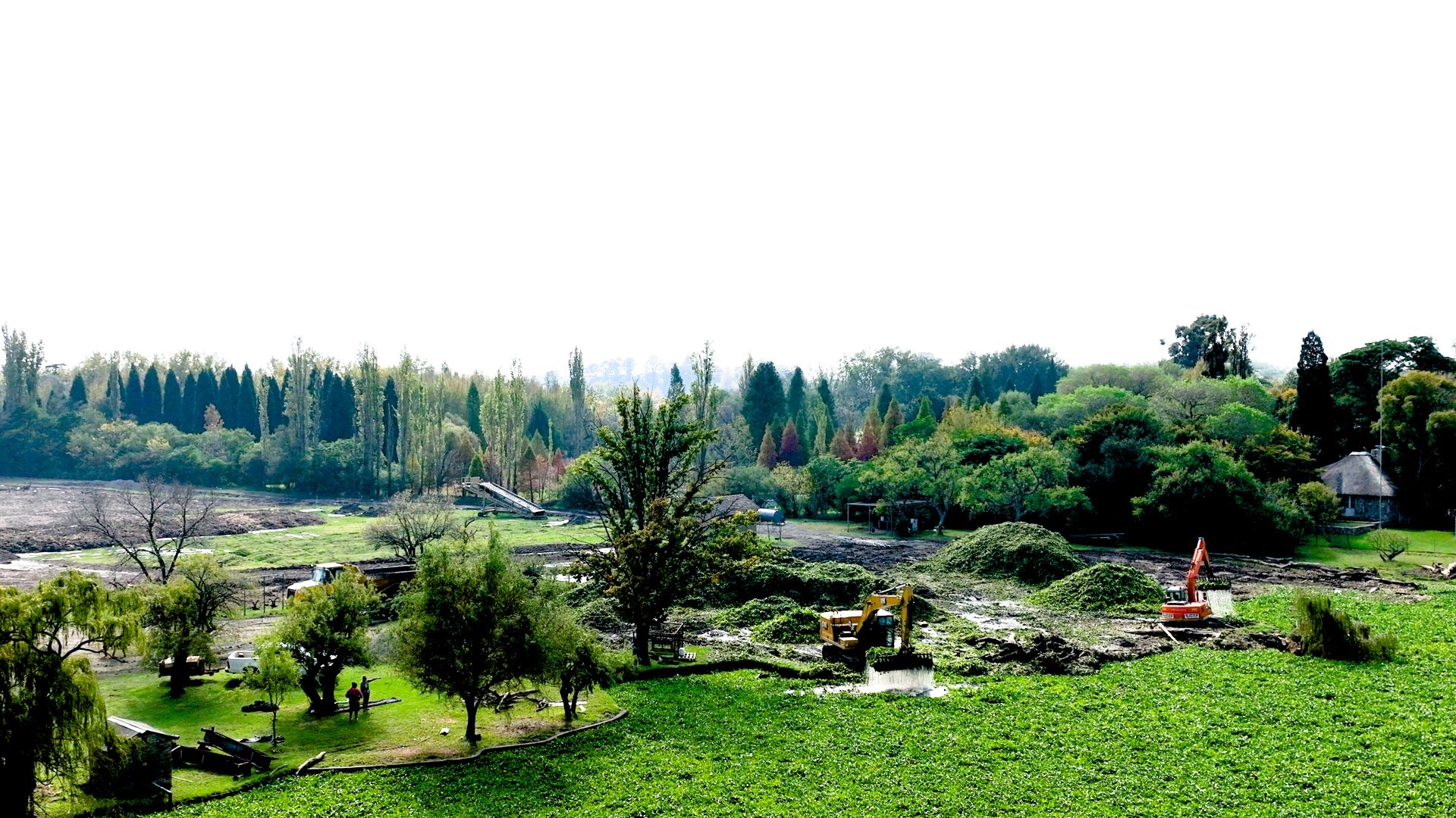 SAVE Unites Community to Rescue Vaal River from Invasive Water Lettuce