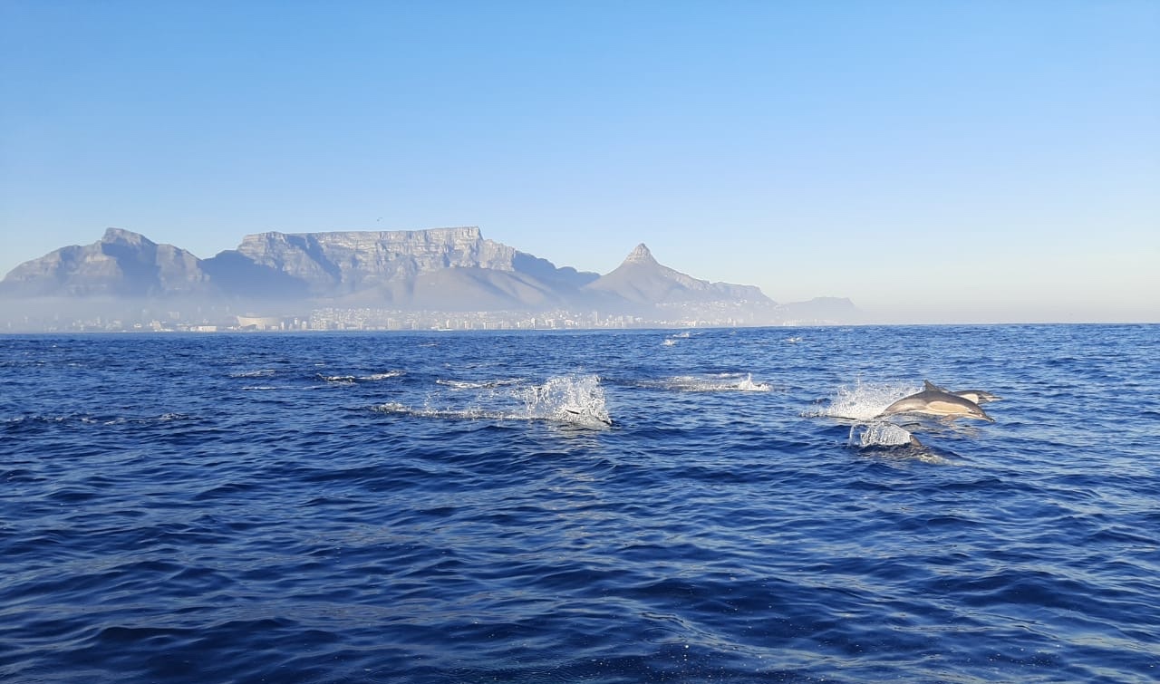 Swimmer Conquers Robben Island for Charity!