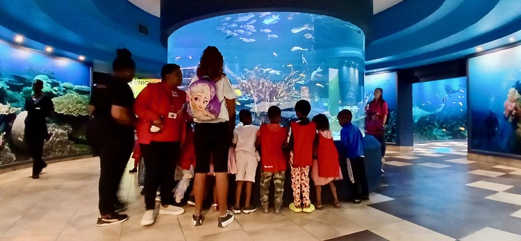 Two Oceans Aquarium Foundation