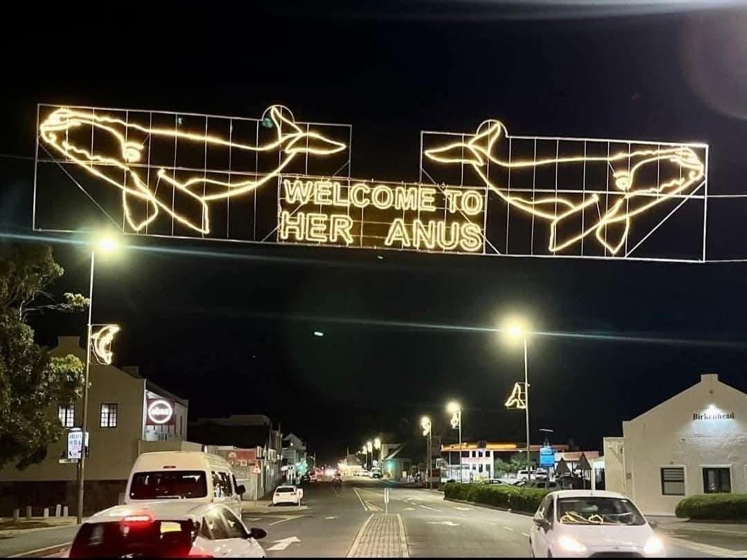 Hermanus Christmas Lights Go Viral with Hilarious Twist!