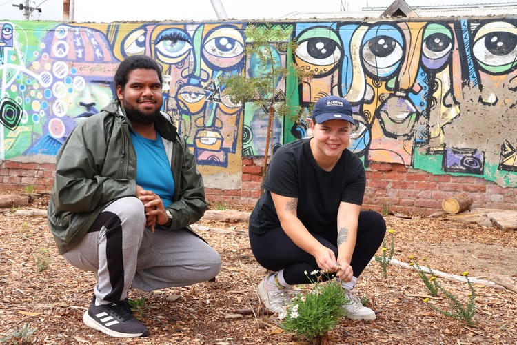 indigenous gardens