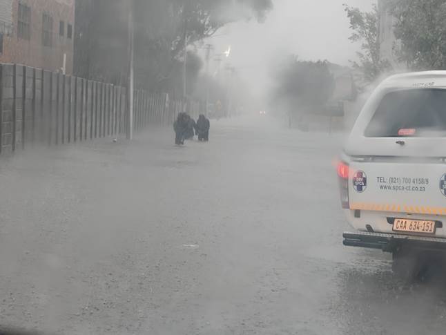 SPCA First Responders Brave Cape Storms to Save Abandoned Animals
