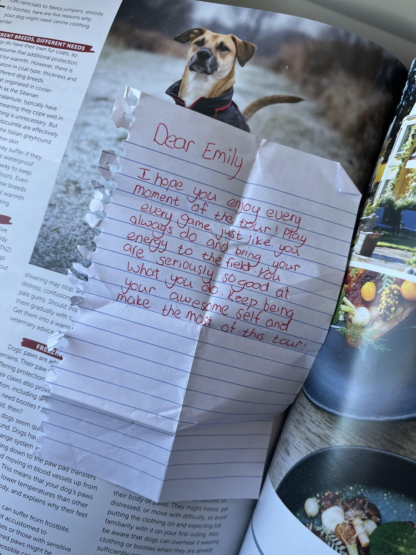She Lost Her Grandfather… Then Found a Letter Addressed to Her Tucked in a Plane Magazine