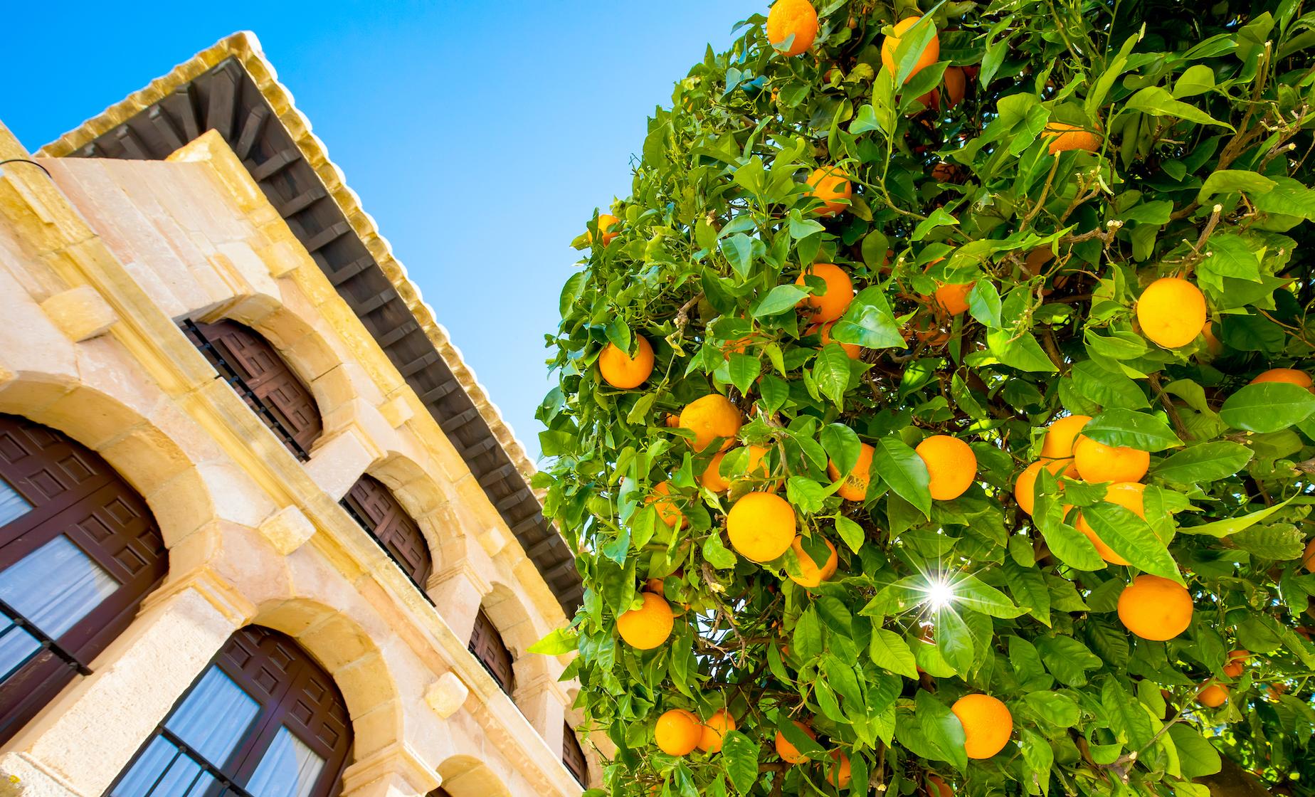 The Soft Side of Travel: 10 Happy, Helpful European Ideas I’d Love to See at Home