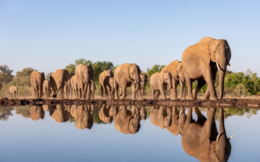 Land of The Giants: Like Food For The Soul!