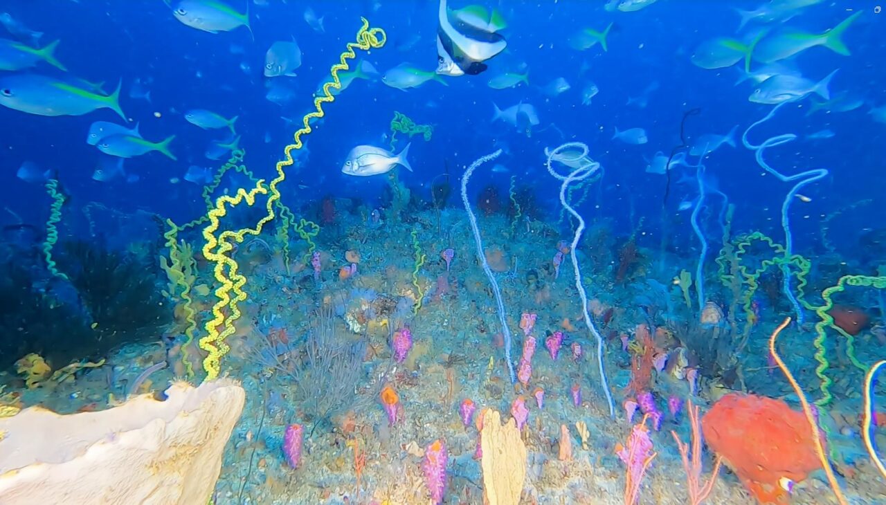 iSimangaliso Wetland Park
