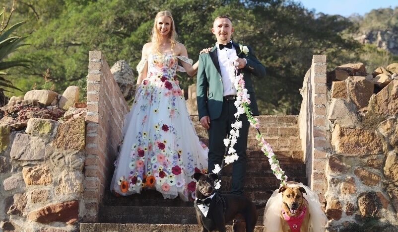 Pups at a wedding