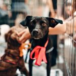 Mary Kwembu AWS Stellenbosch