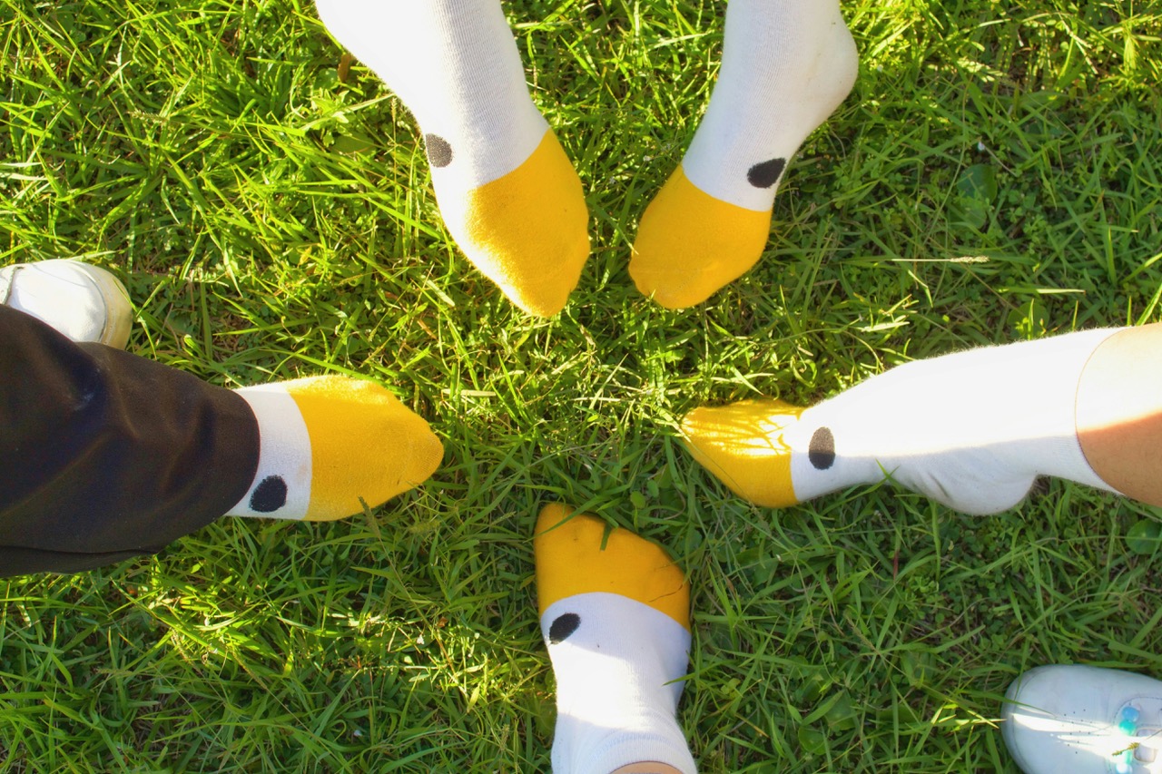 Socks