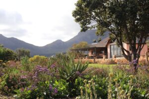 Noordhoek Gardens