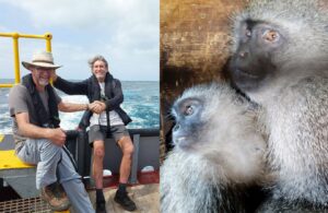 Monkey Helpline