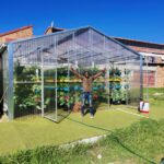 SA Harvest’s Greenhouses