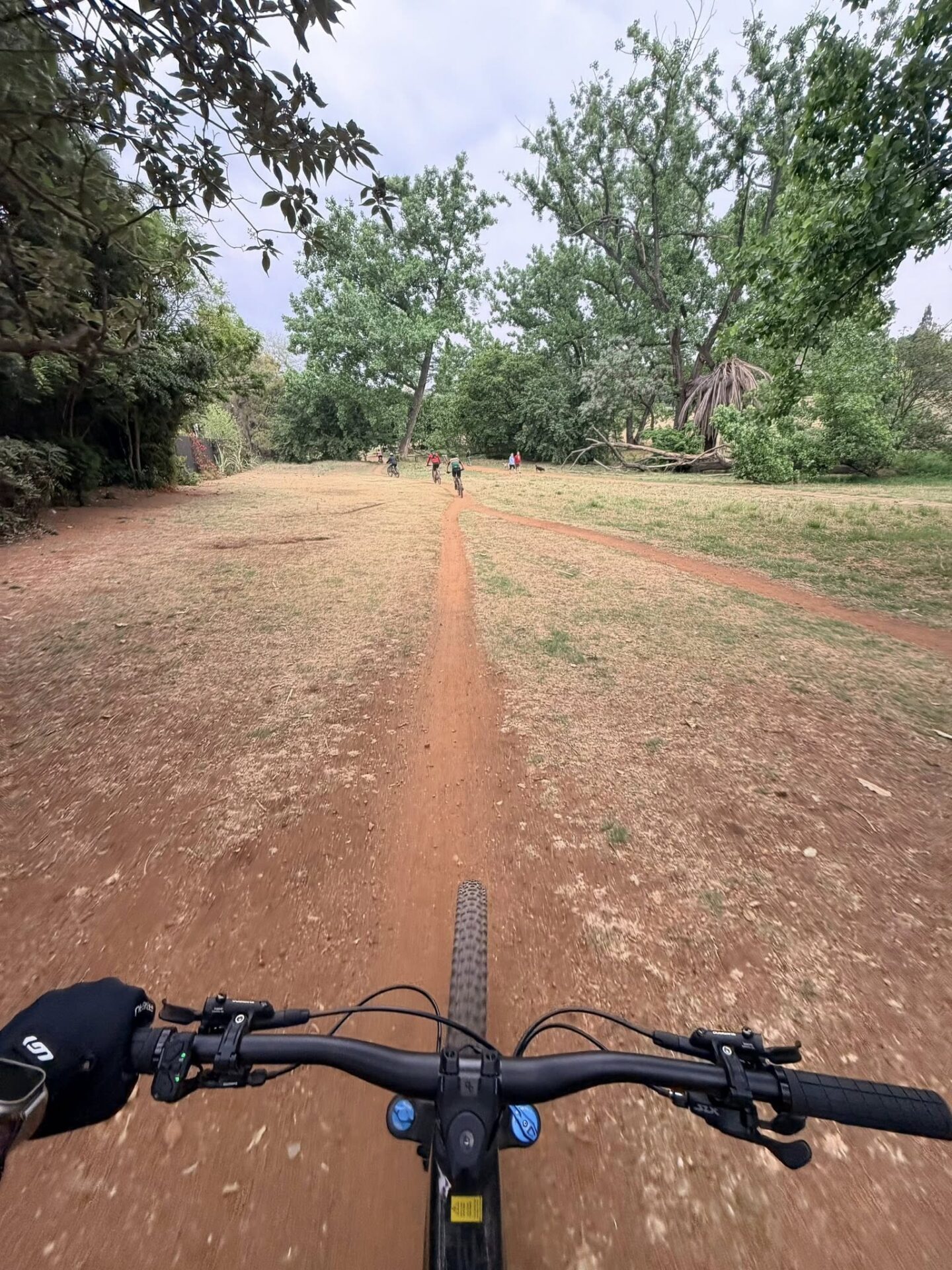 Discover Joburg’s Best-Kept Secret: The Magic of Jozi Trails