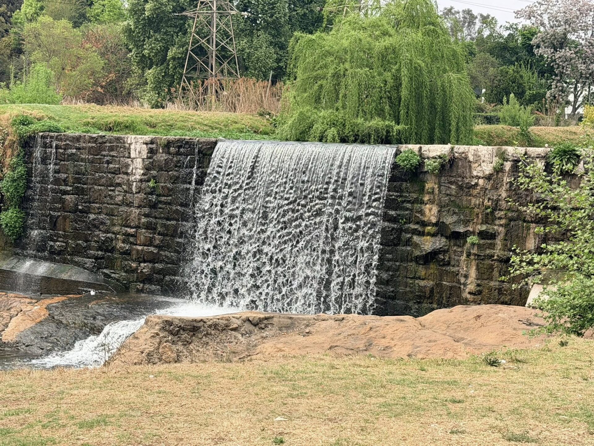 Discover Joburg’s Best-Kept Secret: The Magic of Jozi Trails
