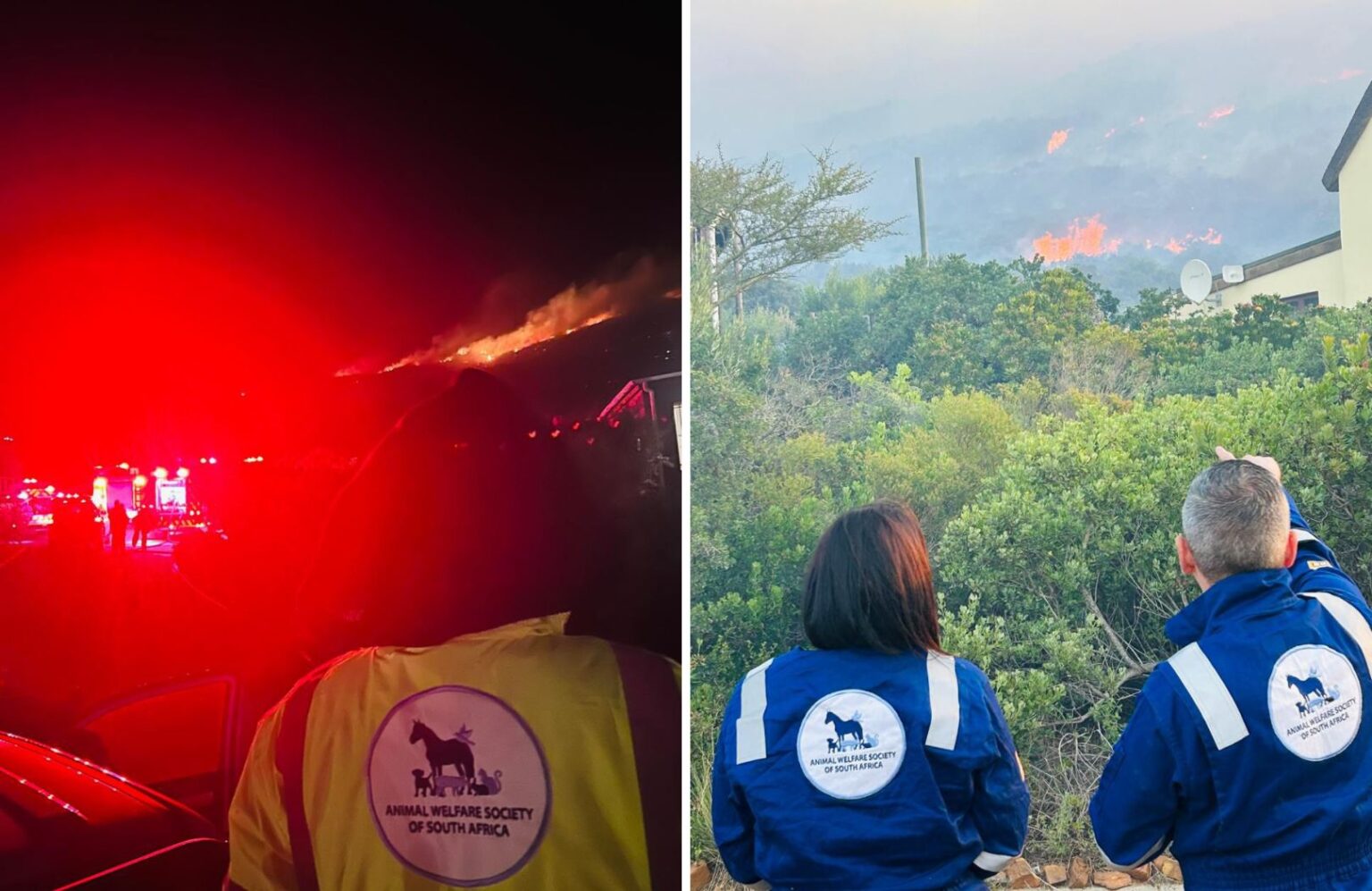 SA’s Kindness Shines as AWS Rushes to Save Animals Affected by Capri ...
