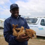 Durban and Coast SPCA
