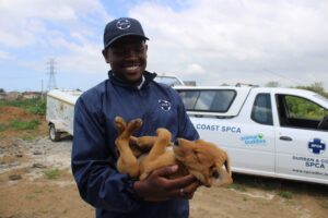 Durban and Coast SPCA