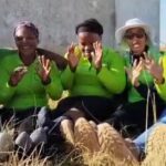 Mentor Mothers