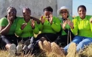 Mentor Mothers