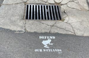 Stormwater Drains