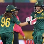 Proteas