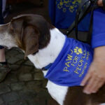 Animal Rescue Expo