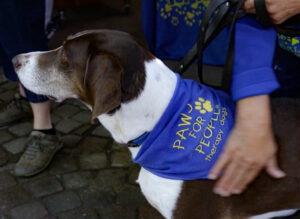 Animal Rescue Expo
