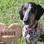 Rogue