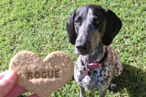 Rogue