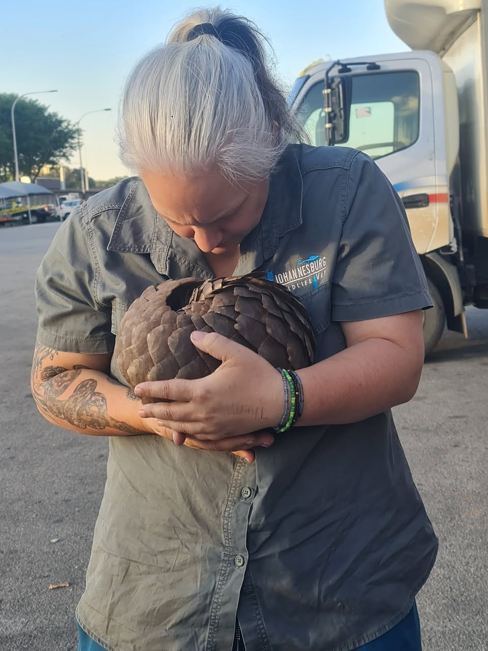 Kindness in Action: South Africans Unite to Rescue Endangered Pangolin